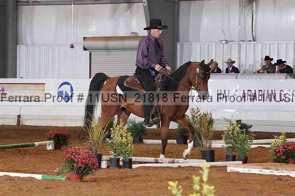 Proof 11usn_21818