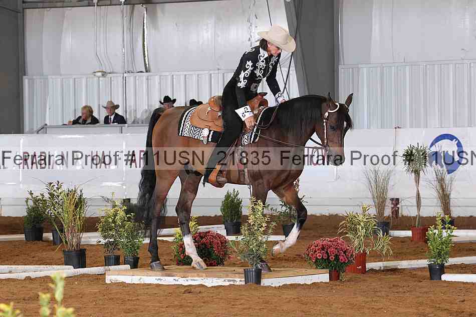 Proof 11usn_21835