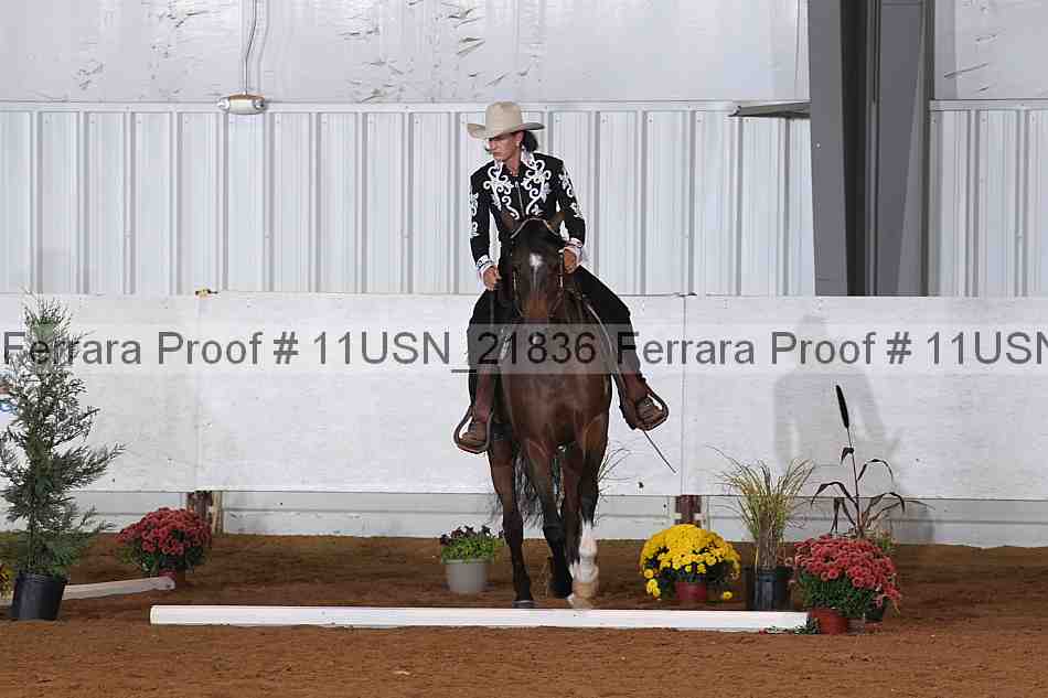 Proof 11usn_21836