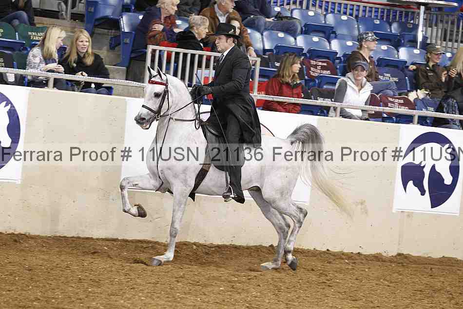 Proof 11usn_21136