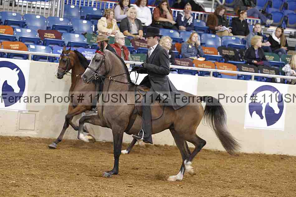 Proof 11usn_21142