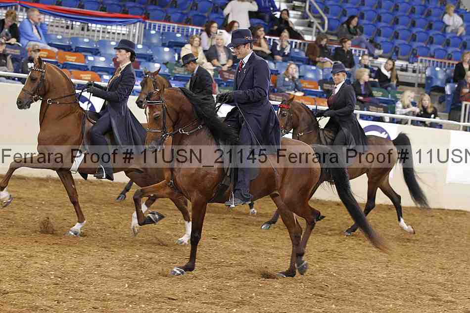 Proof 11usn_21145