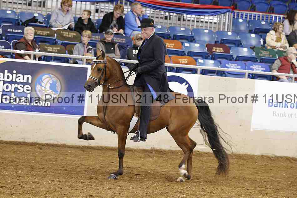 Proof 11usn_21148