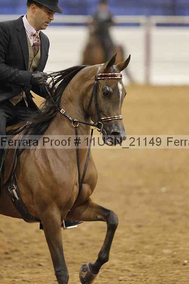 Proof 11usn_21149
