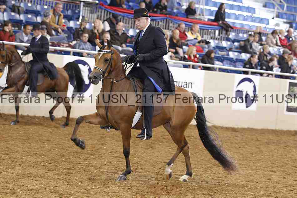 Proof 11usn_21157