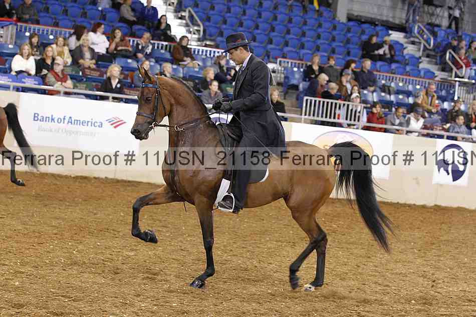 Proof 11usn_21158