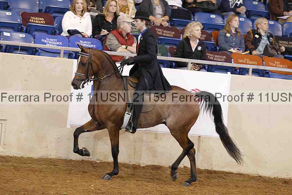 Proof 11usn_21159