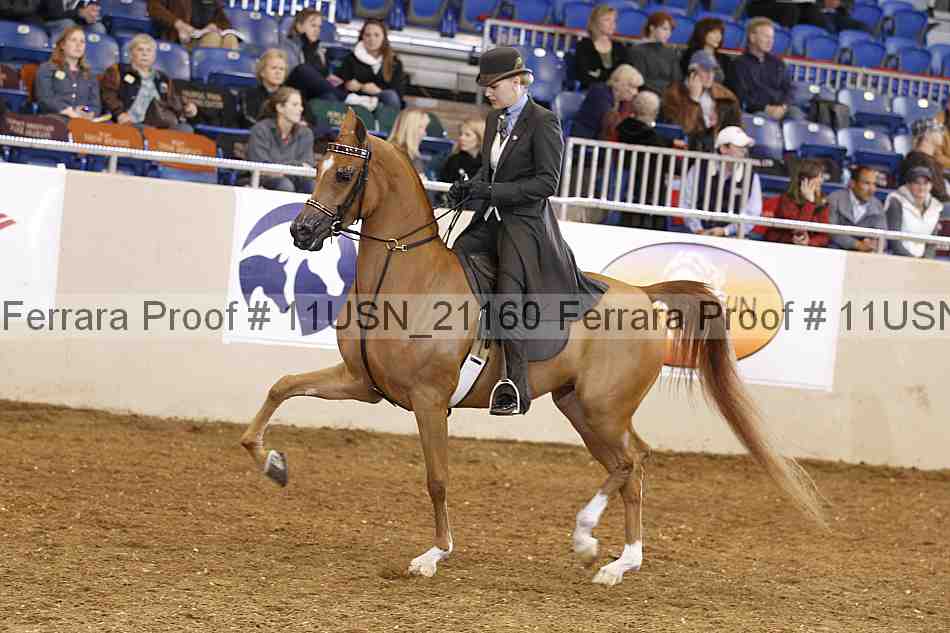 Proof 11usn_21160