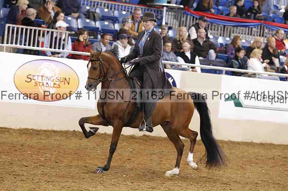 Proof 11usn_21163