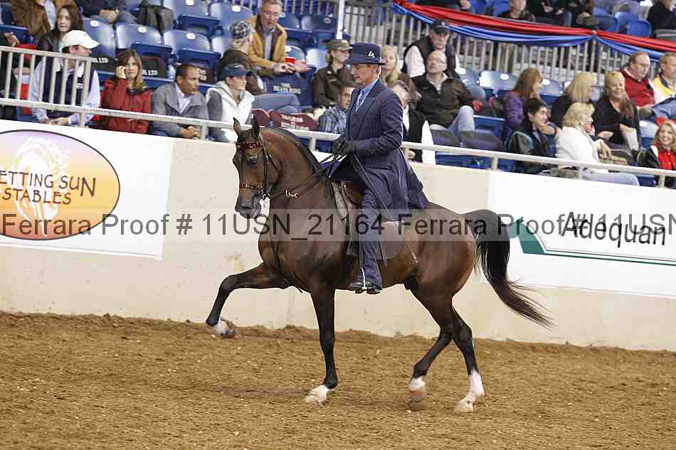 Proof 11usn_21164