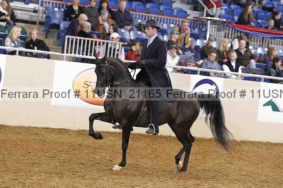 Proof 11usn_21165