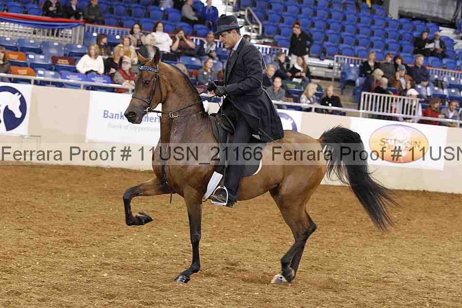 Proof 11usn_21166