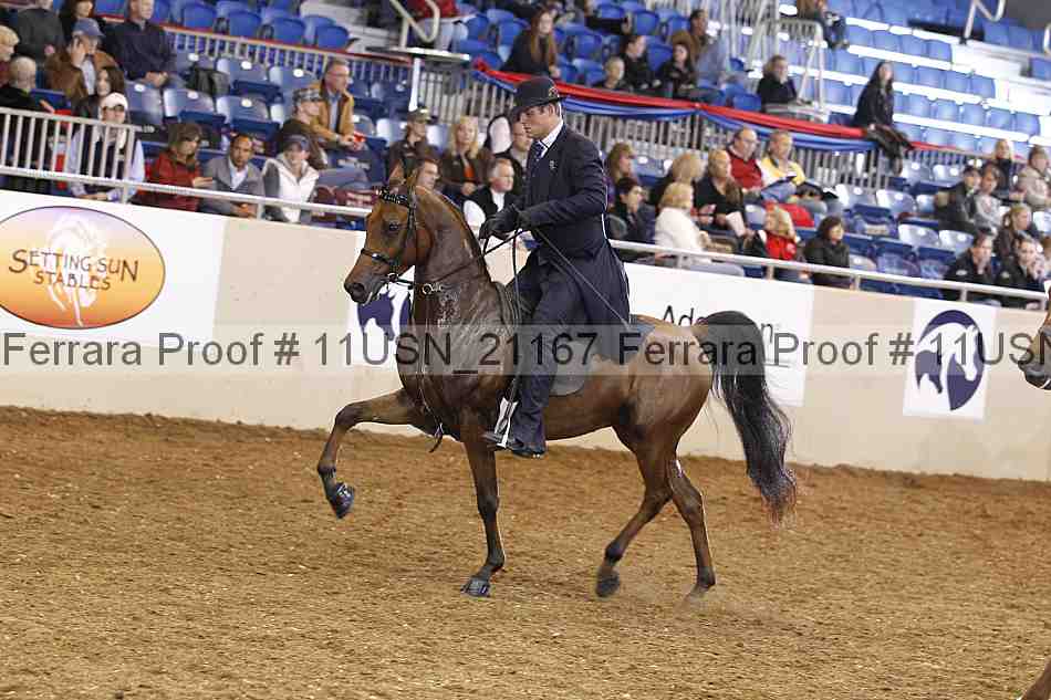 Proof 11usn_21167