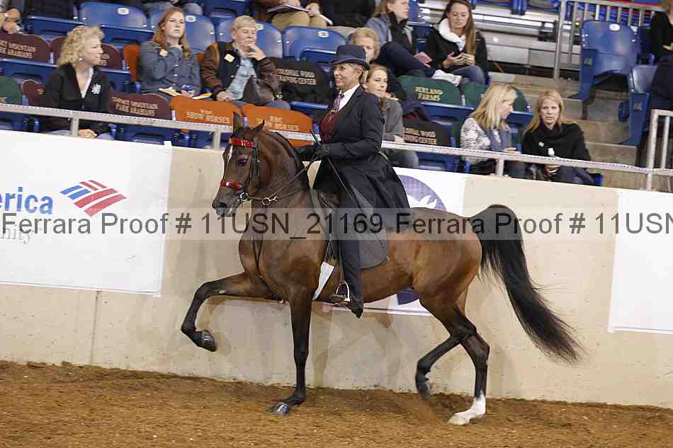 Proof 11usn_21169