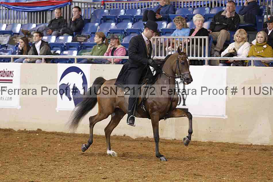 Proof 11usn_21172