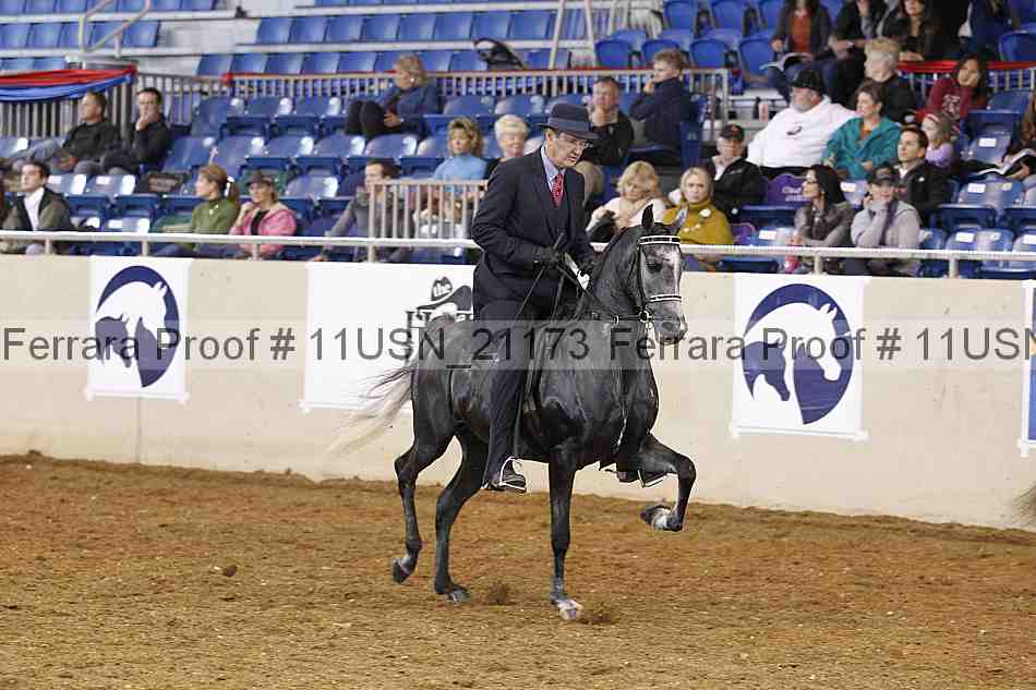 Proof 11usn_21173