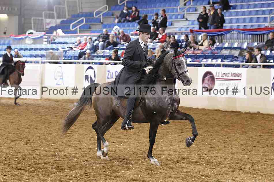 Proof 11usn_21176