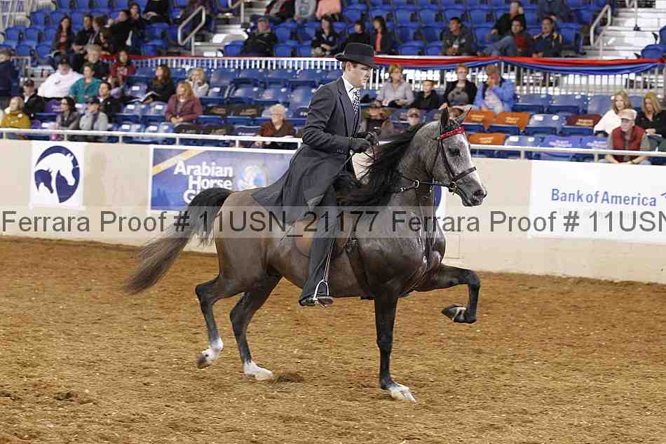 Proof 11usn_21177