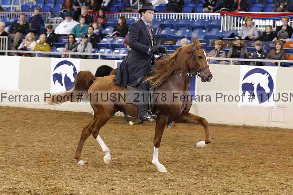 Proof 11usn_21178