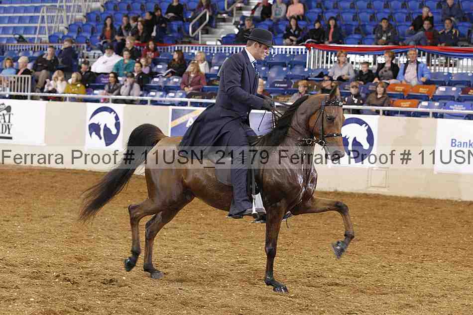Proof 11usn_21179