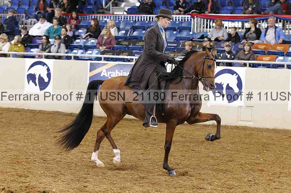 Proof 11usn_21180