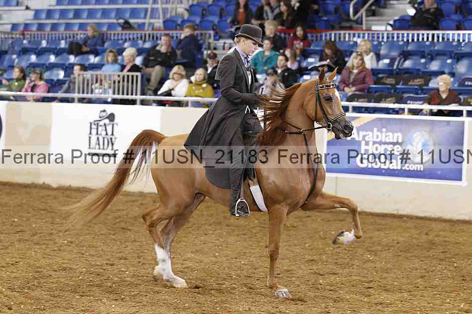 Proof 11usn_21183