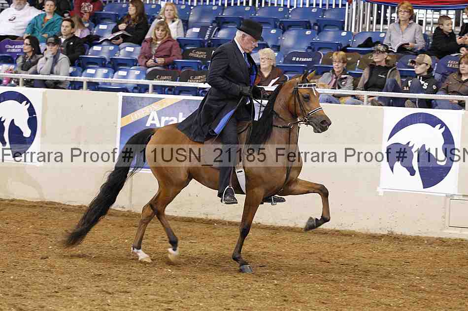 Proof 11usn_21185