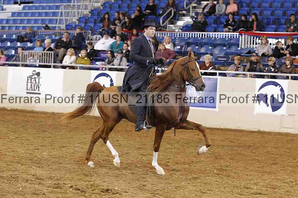 Proof 11usn_21186