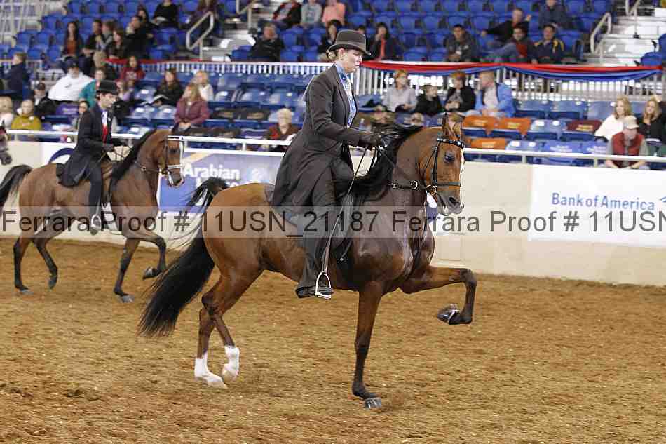 Proof 11usn_21187