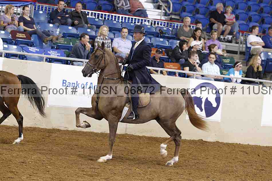Proof 11usn_06872