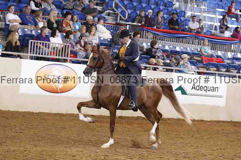 Proof 11usn_06873