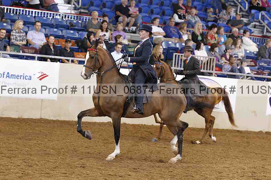 Proof 11usn_06874