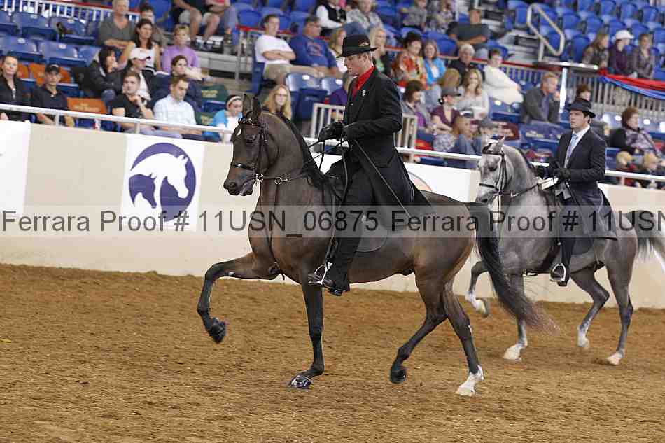 Proof 11usn_06875