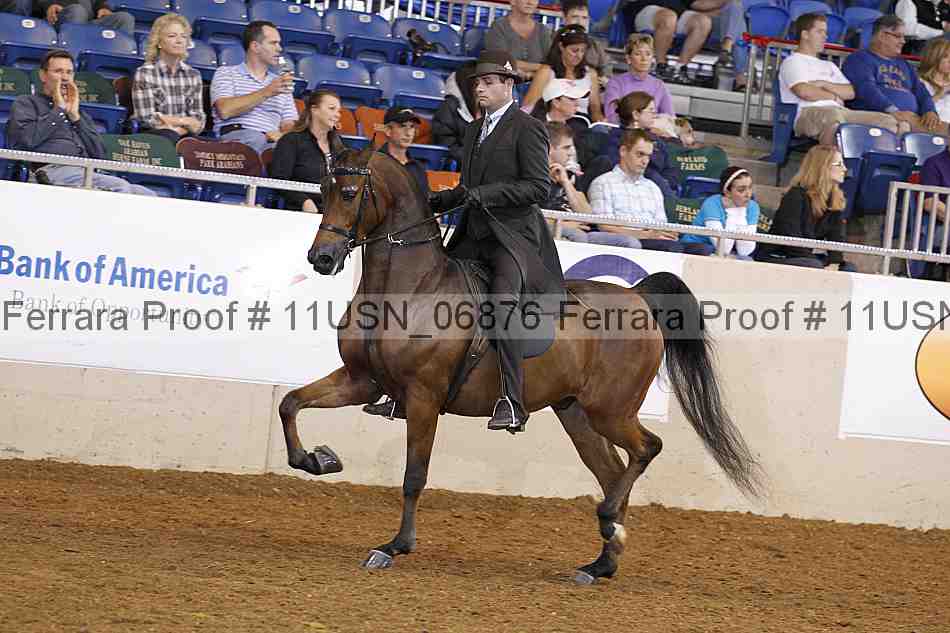 Proof 11usn_06876