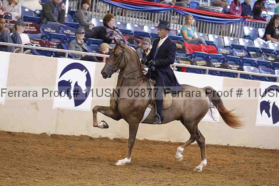 Proof 11usn_06877