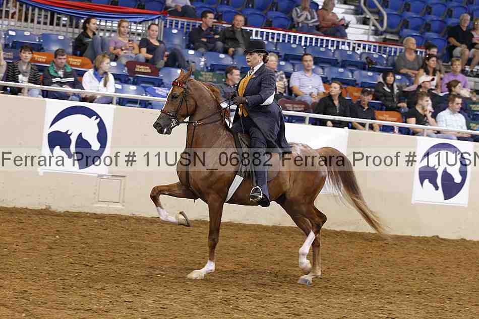 Proof 11usn_06882