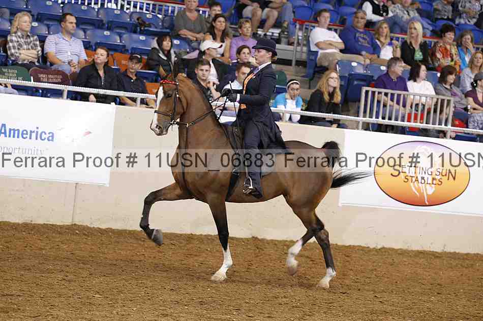 Proof 11usn_06883
