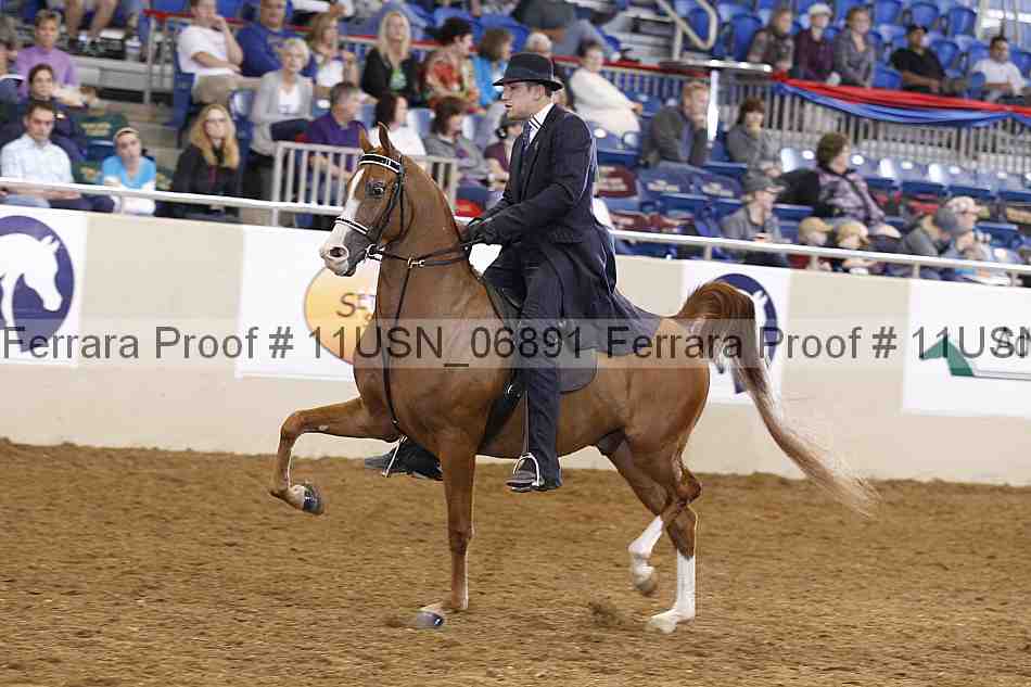 Proof 11usn_06891