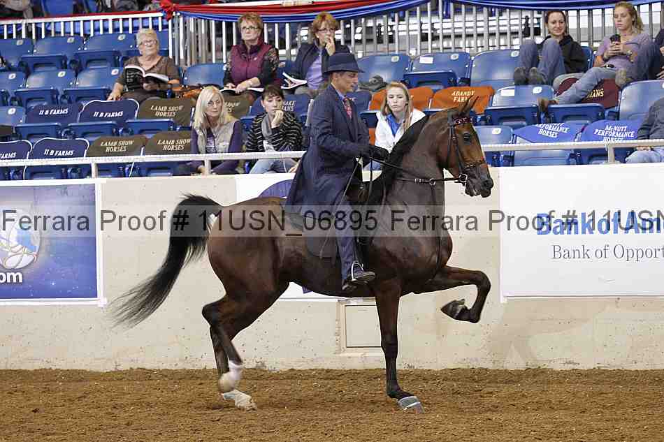 Proof 11usn_06895