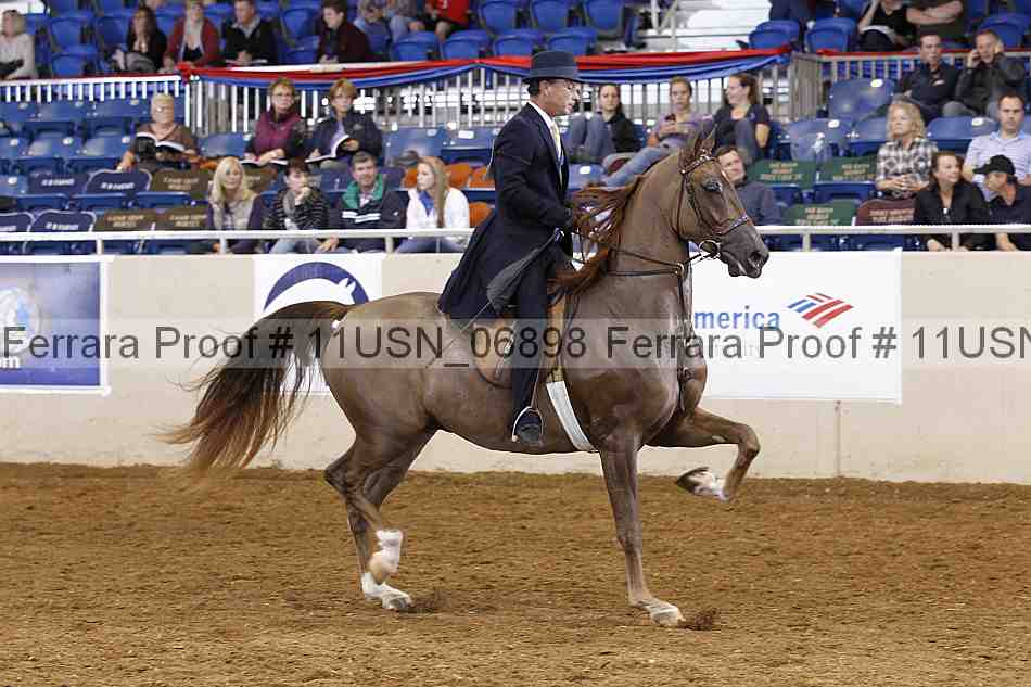Proof 11usn_06898