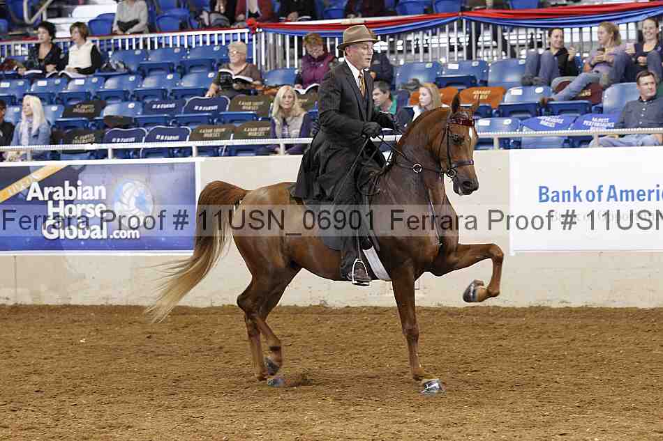 Proof 11usn_06901