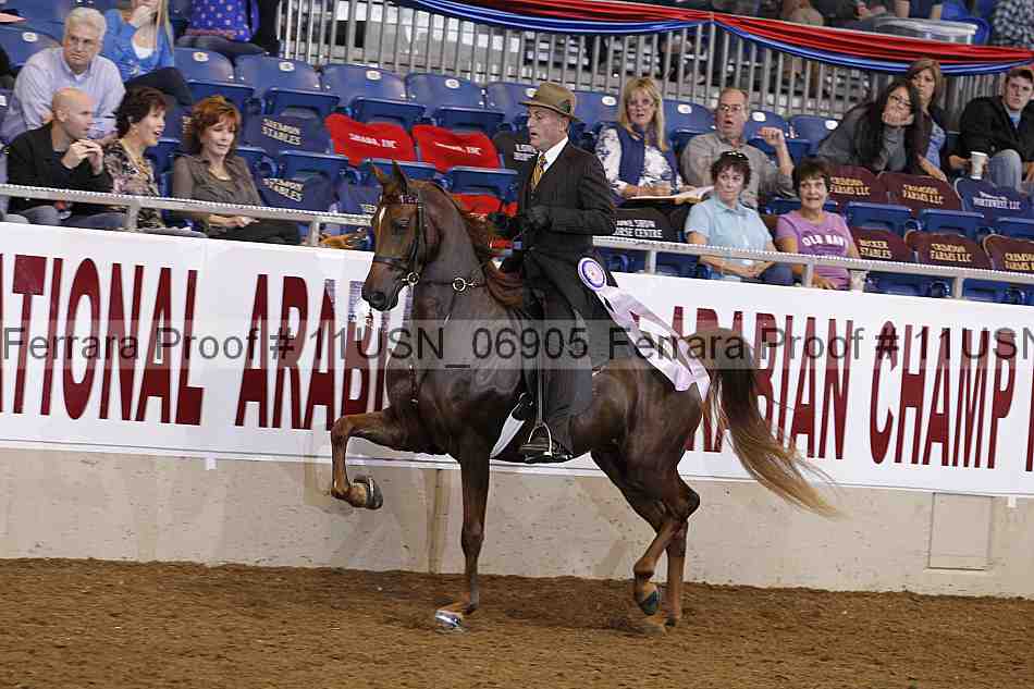 Proof 11usn_06905