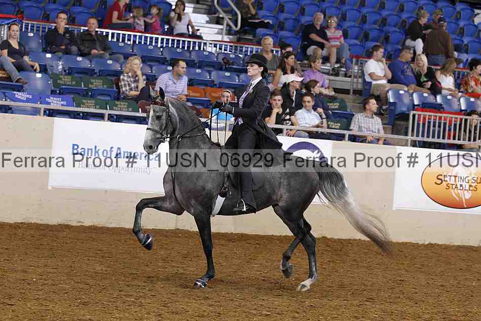 Proof 11usn_06929