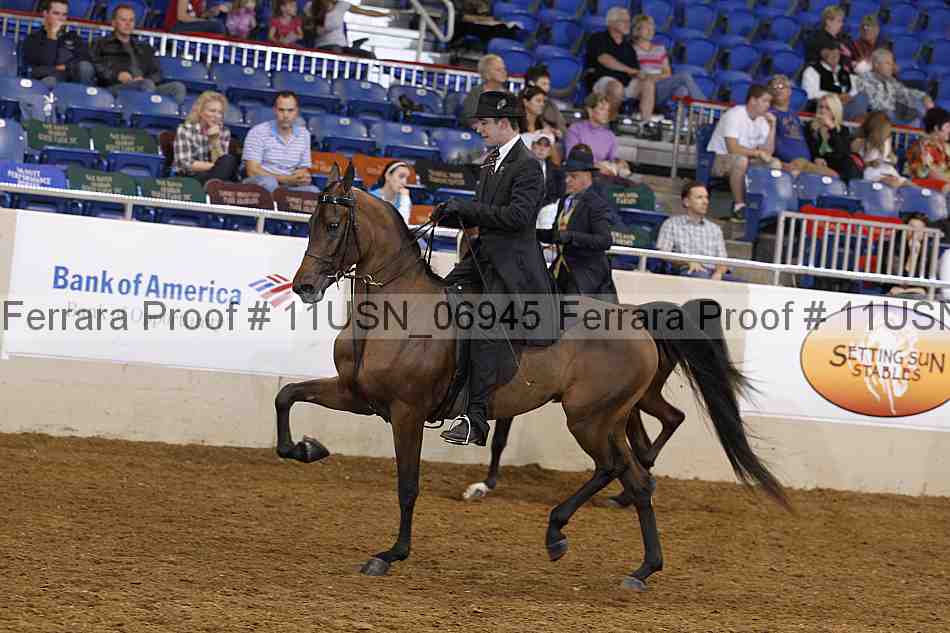 Proof 11usn_06945