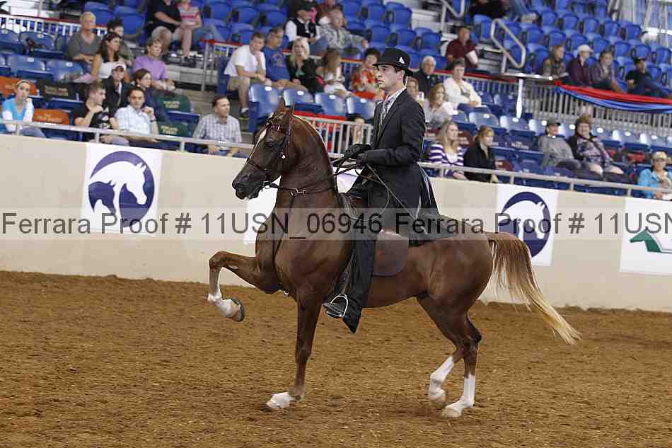 Proof 11usn_06946