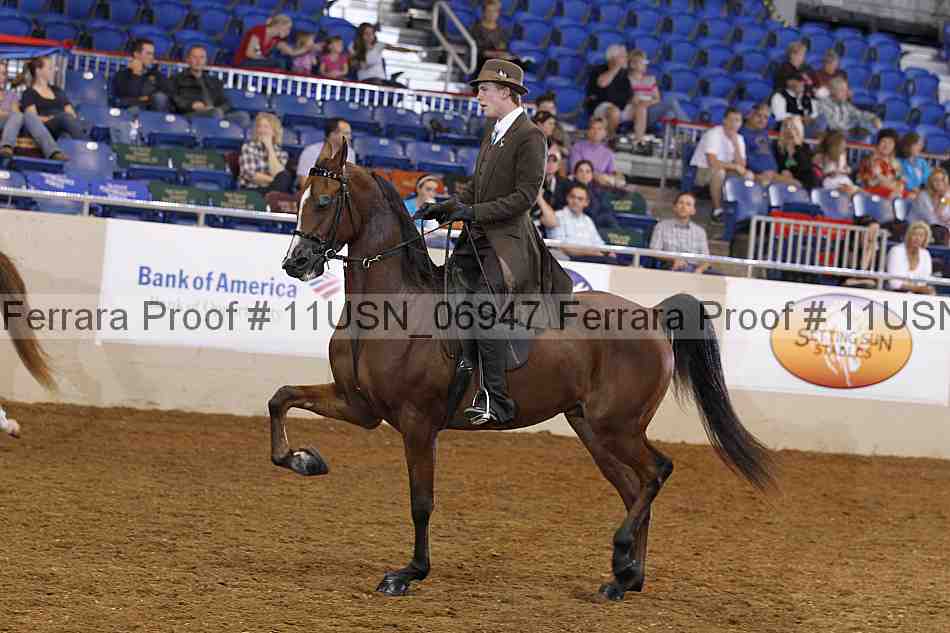 Proof 11usn_06947