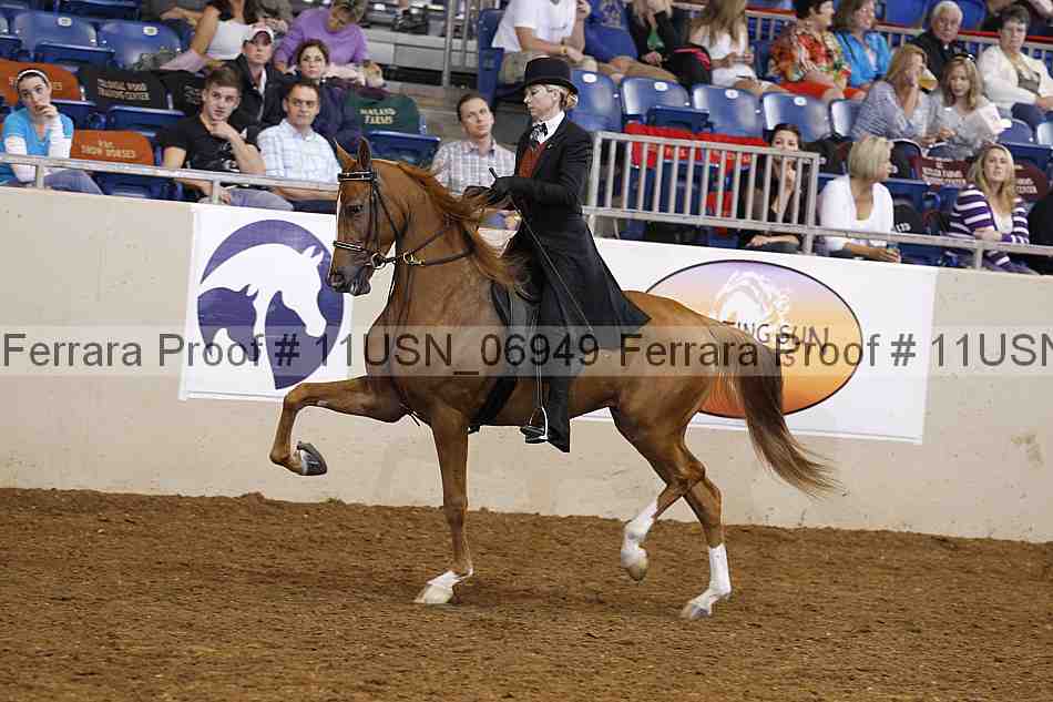 Proof 11usn_06949