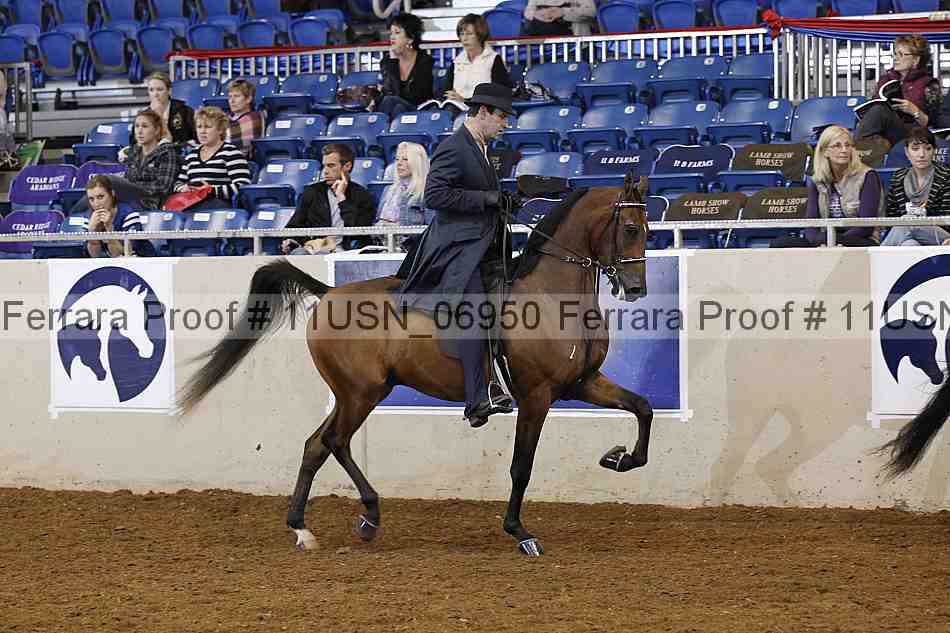 Proof 11usn_06950