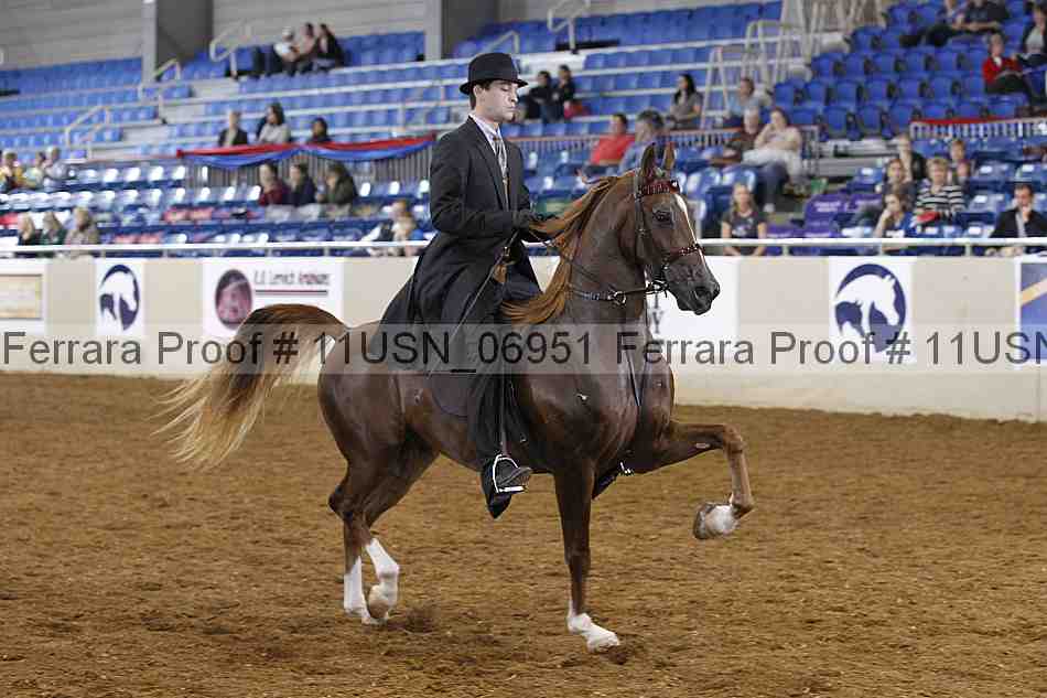 Proof 11usn_06951