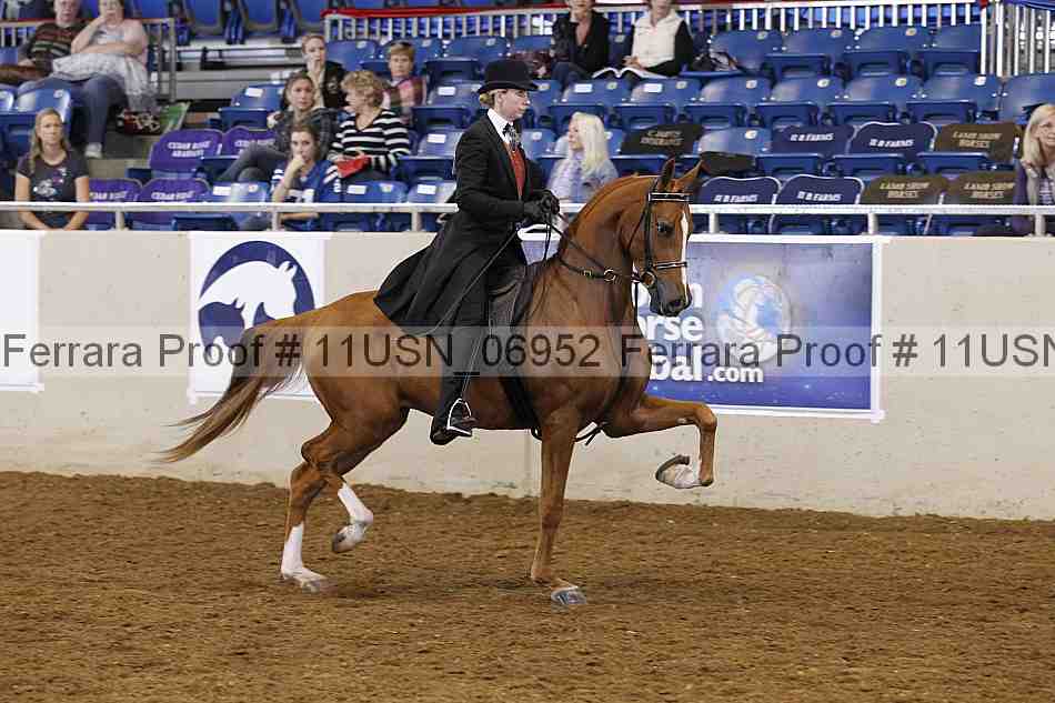 Proof 11usn_06952